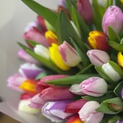 Букет из 25 тюльпанов микс
